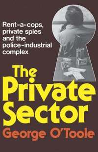 bokomslag The Private Sector