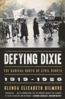 bokomslag Defying Dixie