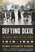 Defying Dixie 1