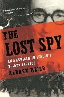 bokomslag The Lost Spy