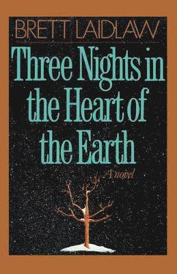 bokomslag Three Nights in the Heart of the Earth