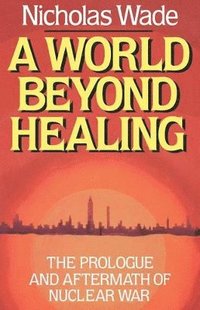 bokomslag A World Beyond Healing