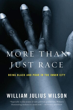 William Julius Wilson - More than Just Race, Häftad