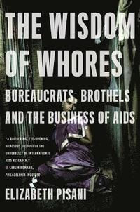 bokomslag The Wisdom of Whores: Bureaucrats, Brothels and the Business of AIDS
