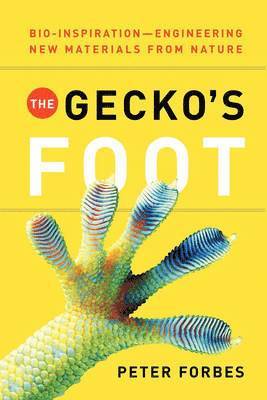 The Gecko's Foot 1