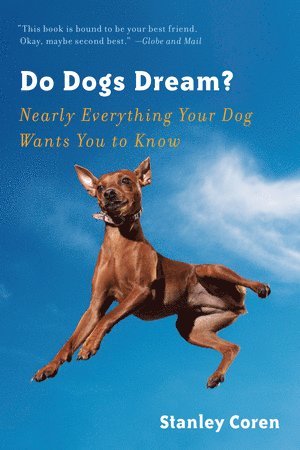 bokomslag Do Dogs Dream?