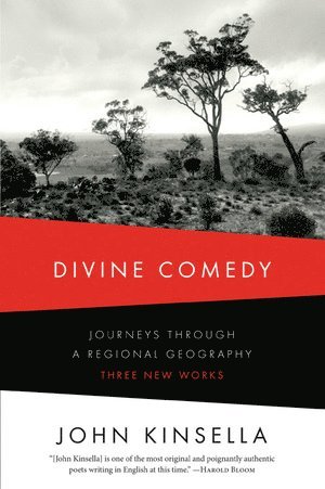 Divine Comedy 1