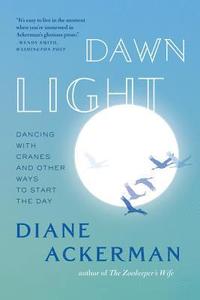 bokomslag Dawn Light: Dancing with Cranes and Other Ways to Start the Day