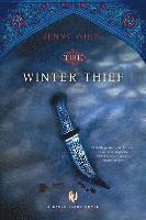 bokomslag The Winter Thief