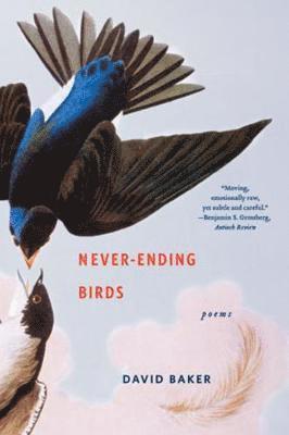 David Baker - Never-Ending Birds, Häftad