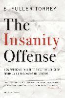 bokomslag Insanity Offense