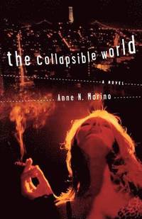 bokomslag The Collapsible World
