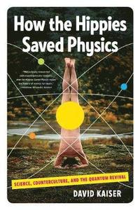 bokomslag How the Hippies Saved Physics