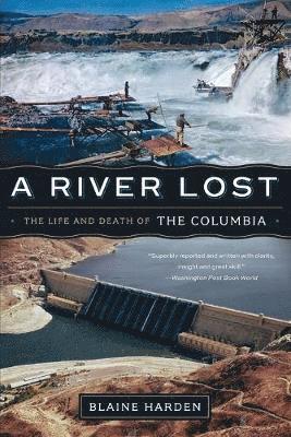 bokomslag A River Lost
