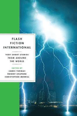 bokomslag Flash Fiction International