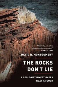 bokomslag The Rocks Don't Lie