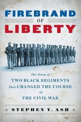 Stephen V. Ash - Firebrand of Liberty, Häftad