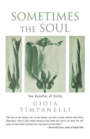 bokomslag Sometimes the Soul