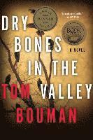 bokomslag Dry Bones in the Valley - A Novel