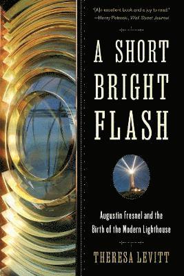 Theresa Levitt - Short Bright Flash, Häftad