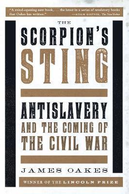 bokomslag Scorpion's Sting