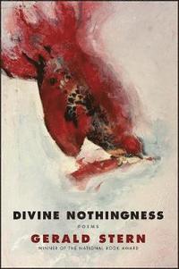 bokomslag Divine Nothingness