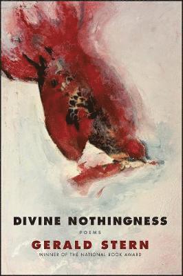bokomslag Divine Nothingness