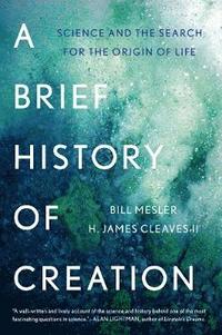 bokomslag A Brief History of Creation