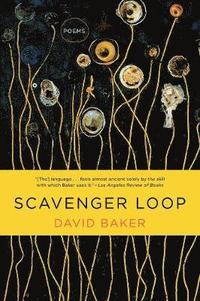 bokomslag Scavenger Loop