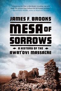 bokomslag Mesa of Sorrows