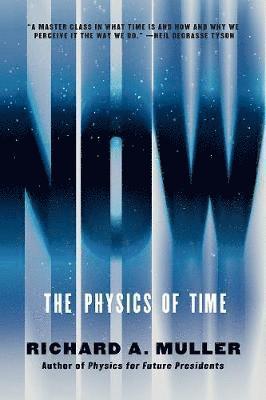 bokomslag Now - The Physics Of Time