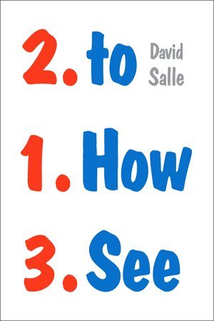 David Salle - How to See, Häftad