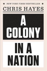 bokomslag A Colony in a Nation