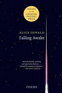 bokomslag Falling Awake: Poems