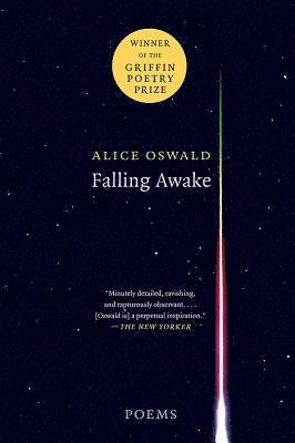 bokomslag Falling Awake: Poems