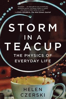 bokomslag Storm in a Teacup: The Physics of Everyday Life