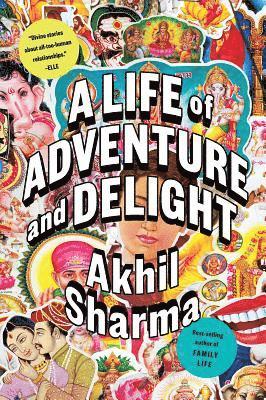 Akhil Sharma - A Life of Adventure and Delight, Häftad