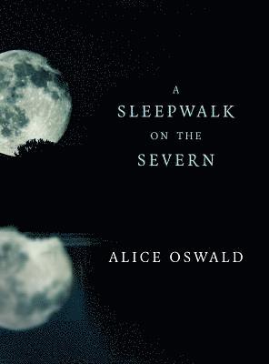 A Sleepwalk on the Severn 1