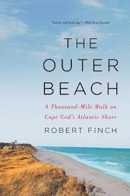 bokomslag The Outer Beach