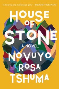 bokomslag House of Stone - A Novel