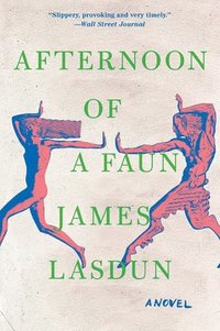 bokomslag Afternoon of a Faun - A Novel