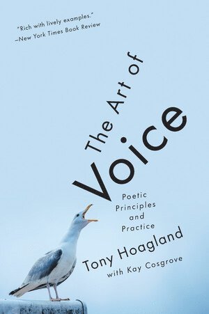 bokomslag Art of Voice