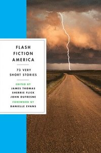 bokomslag Flash Fiction America