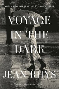 bokomslag Voyage In The Dark - A Novel