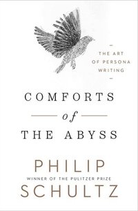 bokomslag Comforts of the Abyss: The Art of Persona Writing