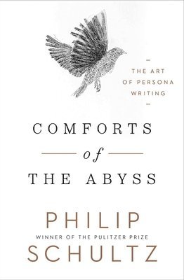 bokomslag Comforts of the Abyss: The Art of Persona Writing
