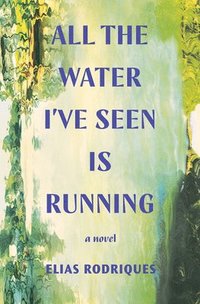 bokomslag All The Water I`Ve Seen Is Running - A Novel