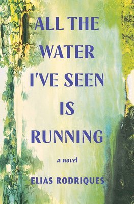 bokomslag All the Water I've Seen Is Running - A Novel