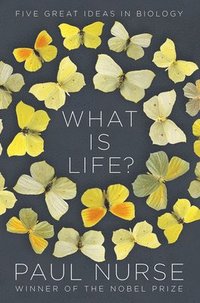 bokomslag What Is Life?