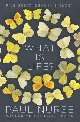 bokomslag What Is Life? - Five Great Ideas In Biology